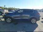 2019 Kia Sportage Lx Light Blue vin: KNDPM3AC0K7491256