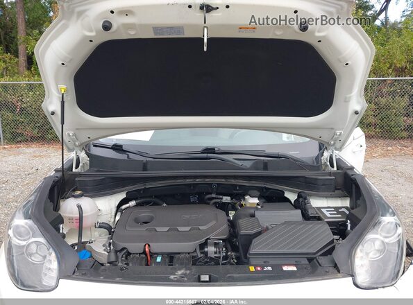 KNDPM3AC0N7027808 2022 KIA SPORTAGE Белый Вид сзади
