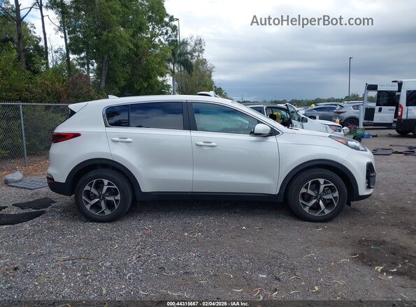 KNDPM3AC0N7027808 2022 KIA SPORTAGE Белый Вид задней части салона