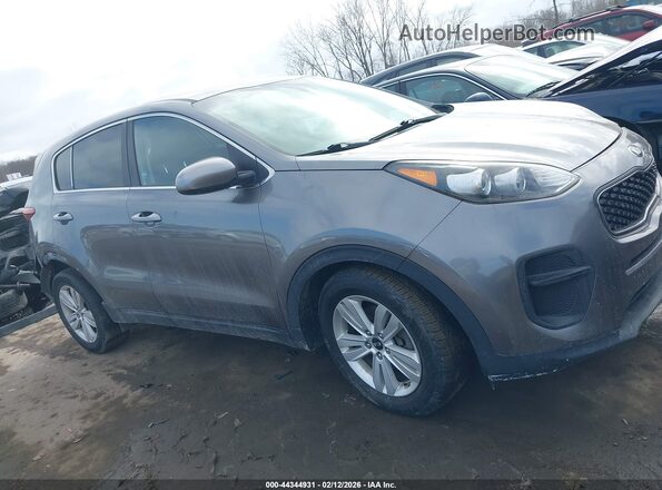 KNDPM3AC1K7550850 2019 KIA SPORTAGE Серый Вид задней части салона