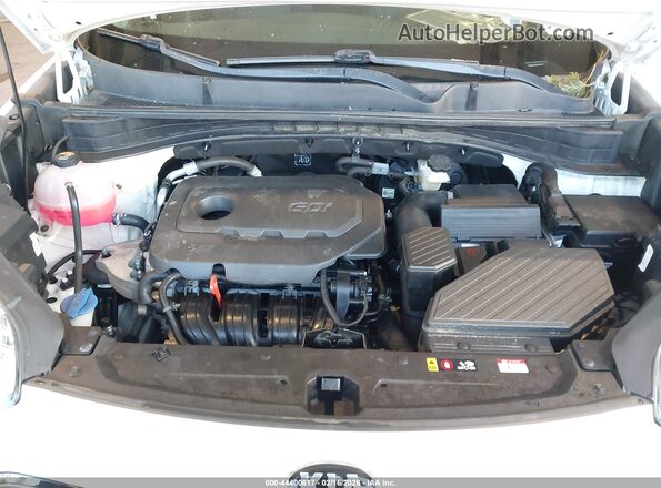 KNDPM3AC6N7002301 2022 KIA SPORTAGE Белый Вид сзади