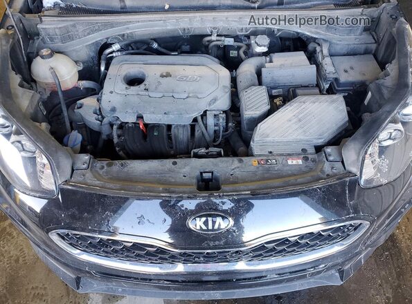 KNDPM3AC7N7969077 2022 KIA SPORTAGE Черный Вид подкапотного пространства