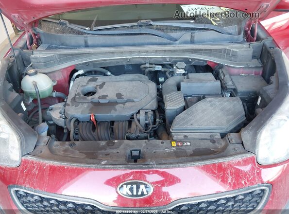 KNDPM3ACXK7554072 2019 KIA SPORTAGE Red Вид ззаду