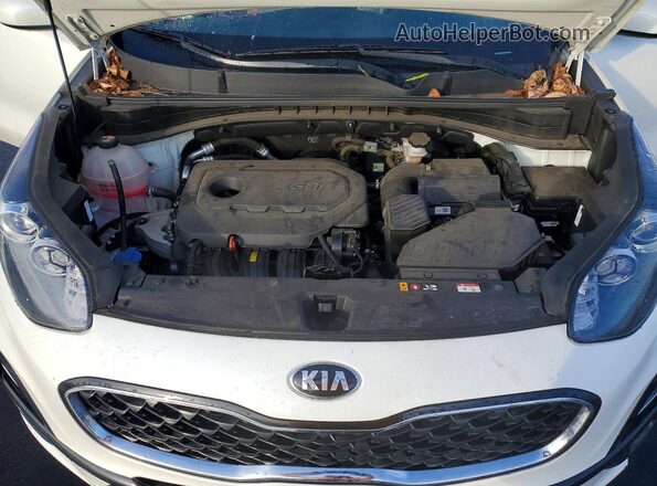 KNDPMCAC1M7896982 2021 KIA SPORTAGE Белый Вид задней части салона