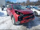 2019 Kia Sportage Lx Red vin: KNDPMCACXK7526675