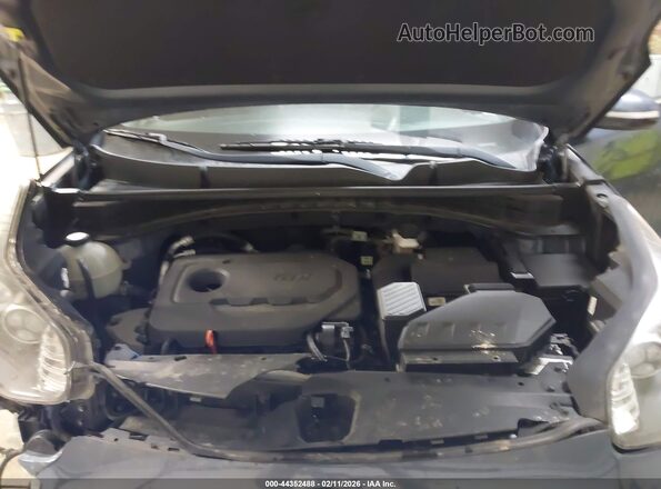 KNDPNCAC5K7531943 2019 KIA SPORTAGE Синий Вид сзади