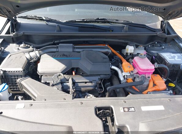 KNDPVCDG0R7158271 2024 KIA SPORTAGE HYBRID Черный Вид сзади