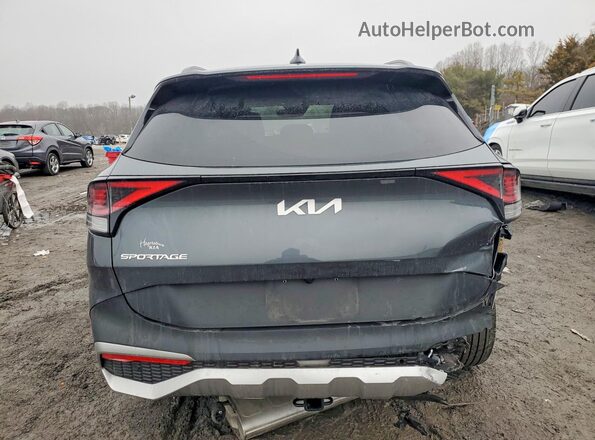 KNDPVCDG7R7130449 2024 KIA SPORTAGE Gray Widok z tyłu