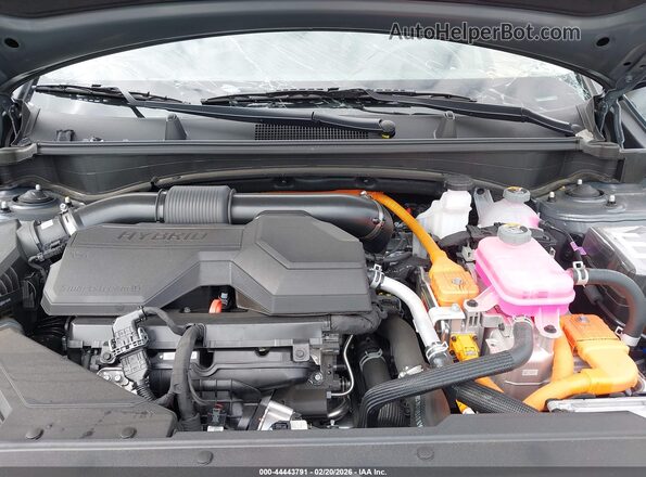 KNDPVDDG7T7299058 2026 KIA SPORTAGE HYBRID Серый Вид сзади