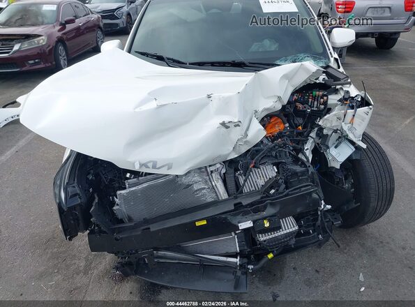 KNDPVDDG7T7299268 2026 KIA SPORTAGE HYBRID Белый Вид спереди