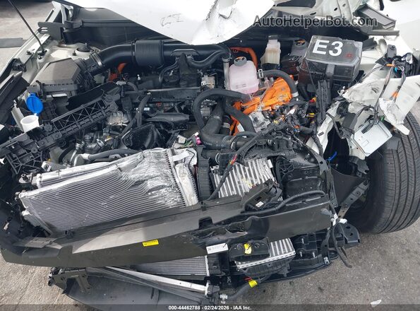 KNDPVDDG7T7299268 2026 KIA SPORTAGE HYBRID Белый Вид сзади