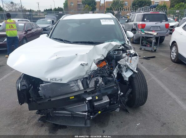 KNDPVDDG7T7299268 2026 KIA SPORTAGE HYBRID Белый Вид задней части салона