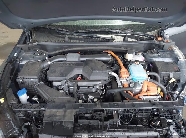KNDPYDDH4S7239091 2025 KIA SPORTAGE PLUG-IN HYBRID Gray Widok z tyłu