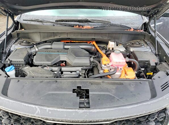 KNDRGDLG3N5122302 2022 KIA SORENTO Gray Widok wnętrza z tyłu