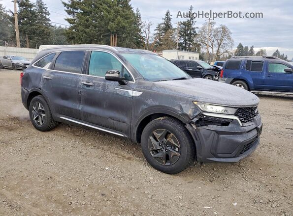KNDRGDLG3N5122302 2022 KIA SORENTO Gray Przód prawy