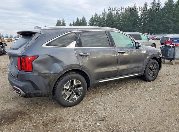 KNDRGDLG3N5122302 2022 KIA SORENTO Gray Tył prawy