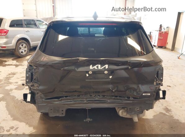 KNDRHDLG1P5177105 2023 KIA SORENTO HYBRID Серый 