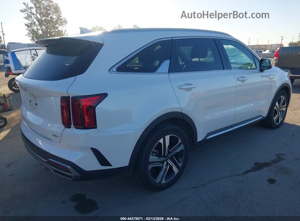 KNDRHDLG6P5167086 2023 KIA SORENTO HYBRID Белый Задняя правая четверть