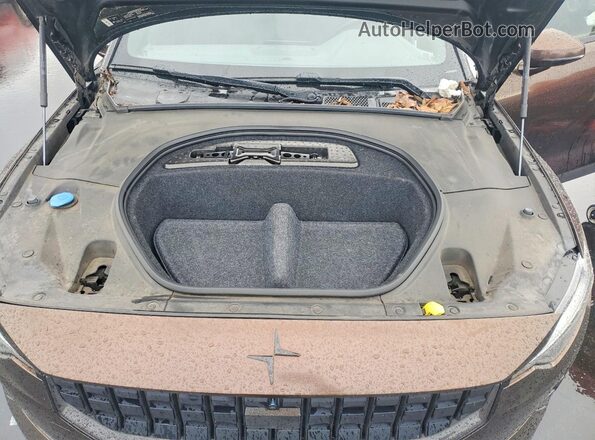 LPSED3KA6ML008926 2021 POLESTAR 2 Brown Rear interior view