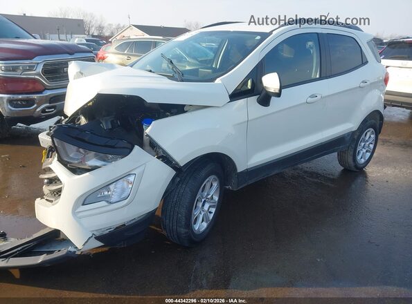 MAJ6S3GL2NC463890 2022 FORD ECOSPORT White Przód lewy