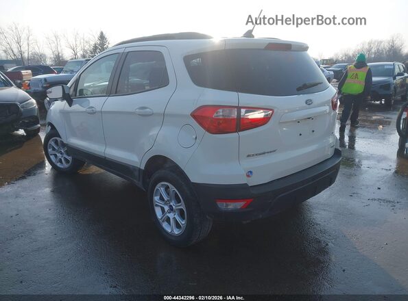 MAJ6S3GL2NC463890 2022 FORD ECOSPORT White Tył lewy