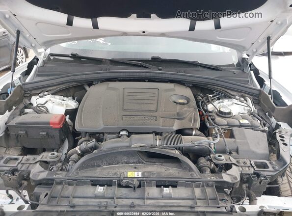 SADCJ2EX7PA705589 2023 JAGUAR F-PACE Белый Вид сзади