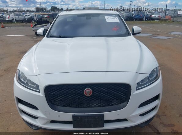 SADCJ2FX2KA601972 2019 JAGUAR F-PACE Белый Вид спереди