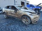 2018 Jaguar F-pace Premium Белый vin: SADCJ2FX3JA256188