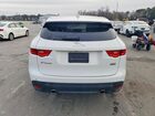 2019 Jaguar F-pace Premium White vin: SADCJ2FX4KA360450