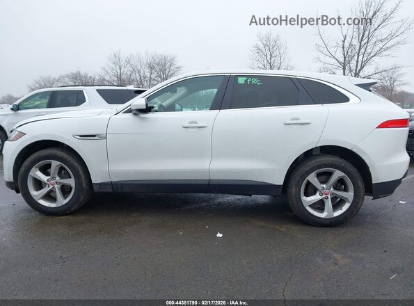 SADCJ2FXXKA356449 2019 JAGUAR F-PACE Белый Панорамный вид салона 360°