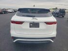2024 Jaguar F-pace R-dynamic S Белый vin: SADCT2EX1RA727018