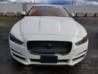 2017 Jaguar Xe Premium Белый vin: SAJAD4BN4HA978260