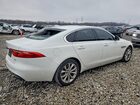 2019 Jaguar Xf Premium White vin: SAJBD4FX7KCY79489