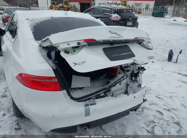 SAJBJ4FX2LCY83380 2020 JAGUAR XF Белый Вид спереди