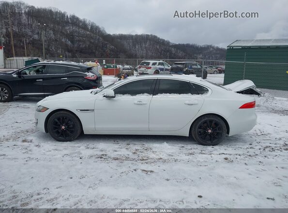 SAJBJ4FX2LCY83380 2020 JAGUAR XF Белый 