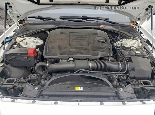 SAJBJ4FX4KCY79037 2019 JAGUAR XF White Вид задньої частини салону