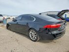 2019 Jaguar Xf Premium Черный vin: SAJBJ4FX9KCY78949