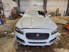 2016 Jaguar Xf Prestige White vin: SAJBK4BV8GCY16256 2016 Jaguar Xf Prestige White vin: SAJBK4BV8GCY16256