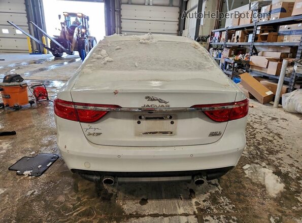 SAJBK4BV8GCY16256 2016 JAGUAR XF White Widok z tyłu