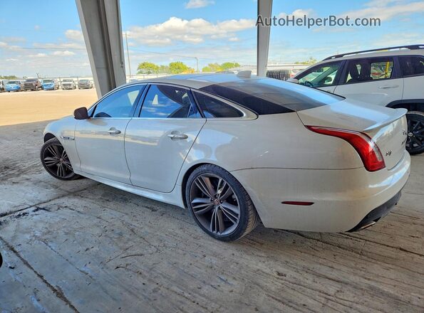 SAJWA1CE4GMW01047 2016 JAGUAR XJ White Tył lewy