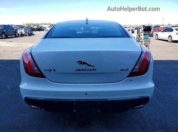 SAJWA2G71G8W01565 2016 JAGUAR XJL Белый Вид сзади