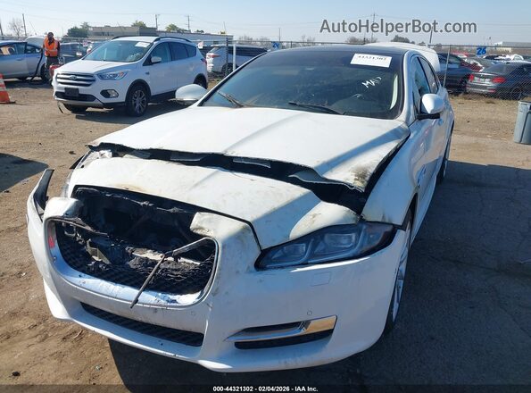 SAJWJ1CD0G8V92072 2016 JAGUAR XJ Белый Передняя левая четверть