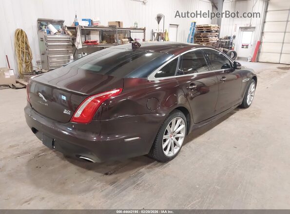 SAJWJ1CD1G8V99080 2016 JAGUAR XJ Purple Trasero derecho