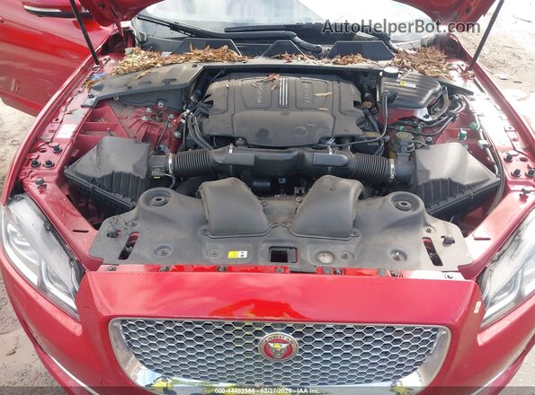 SAJWJ2GD5J8W13814 2018 JAGUAR XJ Красный Вид сзади