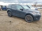 2024 Land Rover Discovery Sport Dynamic Se Black vin: SALCL2FX7RH350205