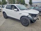 2023 Land Rover Discovery Sport Se Белый vin: SALCP2FX1PH337080