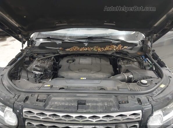 SALWG2FK7HA673926 2017 LAND ROVER RANGE ROVER SPORT Серый Вид сзади
