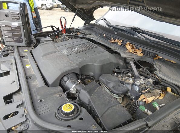 SALWR2EF9GA596411 2016 LAND ROVER RANGE ROVER SPORT Черный Вид сзади