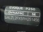 2024 Land Rover Range Rover Evoque Dynamic Se Black vin: SALZL2FX5RH251456