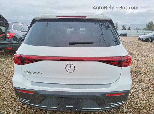 W1N9M0CB7SN111653 2025 MERCEDES-BENZ EQB White Հետևի տեսք